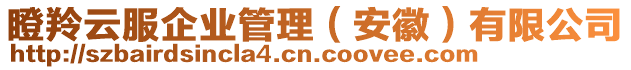 瞪羚云服企業(yè)管理（安徽）有限公司