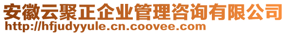 安徽云聚正企業(yè)管理咨詢有限公司