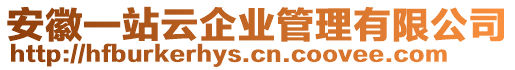 安徽一站云企業(yè)管理有限公司