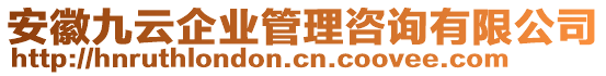 安徽九云企業(yè)管理咨詢有限公司