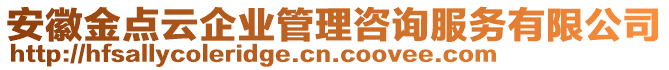 安徽金點(diǎn)云企業(yè)管理咨詢服務(wù)有限公司