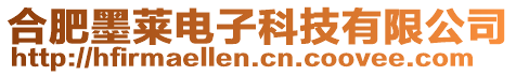 合肥墨萊電子科技有限公司