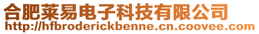 合肥萊易電子科技有限公司