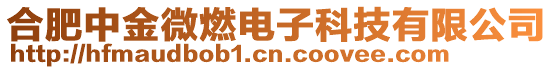 合肥中金微燃電子科技有限公司