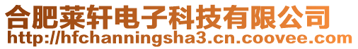 合肥萊軒電子科技有限公司