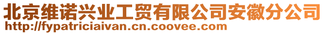 北京維諾興業(yè)工貿(mào)有限公司安徽分公司