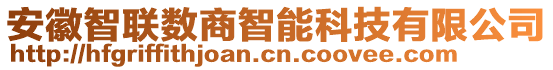 安徽智聯(lián)數(shù)商智能科技有限公司