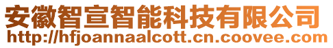 安徽智宣智能科技有限公司