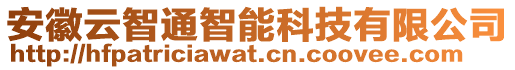 安徽云智通智能科技有限公司