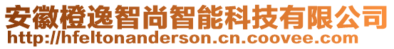 安徽橙逸智尚智能科技有限公司