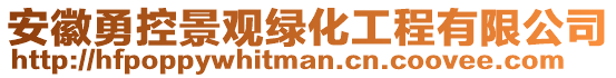 安徽勇控景觀綠化工程有限公司