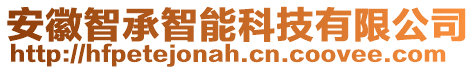 安徽智承智能科技有限公司