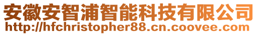 安徽安智浦智能科技有限公司