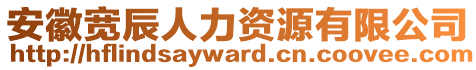 安徽寬辰人力資源有限公司