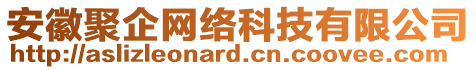 安徽聚企網(wǎng)絡(luò)科技有限公司