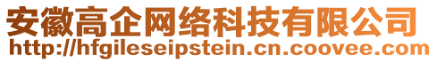 安徽高企網(wǎng)絡(luò)科技有限公司