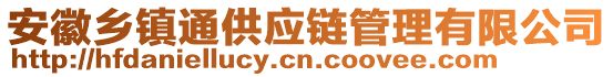 安徽鄉(xiāng)鎮(zhèn)通供應(yīng)鏈管理有限公司