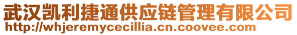 武漢凱利捷通供應(yīng)鏈管理有限公司