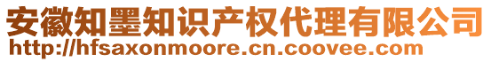 安徽知墨知識產(chǎn)權(quán)代理有限公司