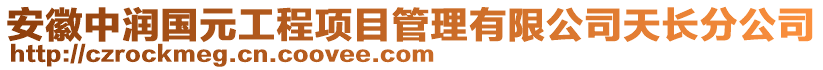 安徽中潤國元工程項目管理有限公司天長分公司