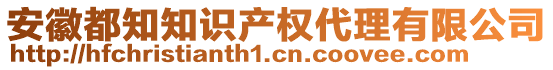 安徽都知知識(shí)產(chǎn)權(quán)代理有限公司