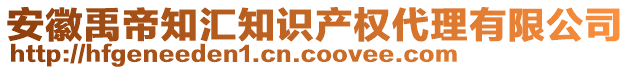 安徽禹帝知匯知識(shí)產(chǎn)權(quán)代理有限公司