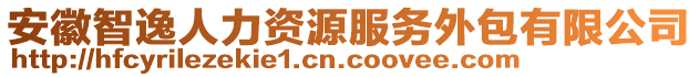 安徽智逸人力資源服務外包有限公司