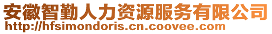 安徽智勤人力資源服務(wù)有限公司