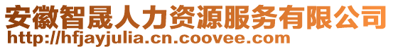 安徽智晟人力資源服務有限公司