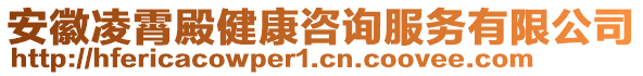 安徽凌霄殿健康咨詢服務(wù)有限公司