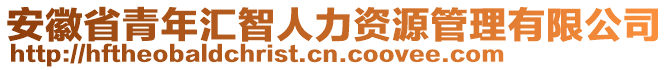 安徽省青年匯智人力資源管理有限公司