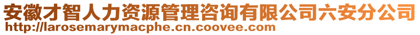 安徽才智人力資源管理咨詢有限公司六安分公司