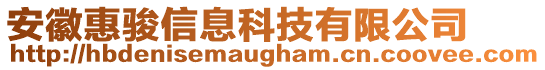 安徽惠駿信息科技有限公司