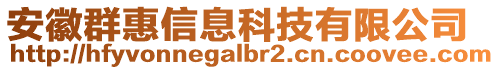 安徽群惠信息科技有限公司