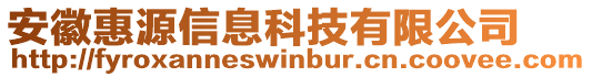 安徽惠源信息科技有限公司