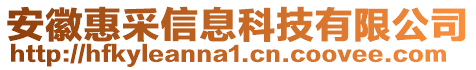 安徽惠采信息科技有限公司