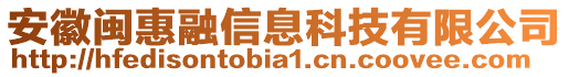 安徽閩惠融信息科技有限公司