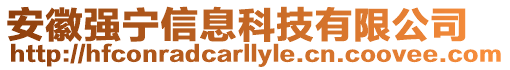 安徽强宁信息科技有限公司