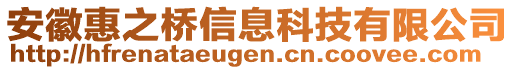 安徽惠之橋信息科技有限公司