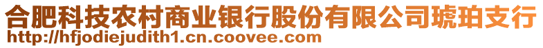 合肥科技農(nóng)村商業(yè)銀行股份有限公司琥珀支行