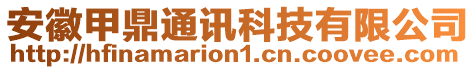 安徽甲鼎通訊科技有限公司