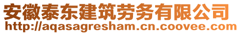 安徽泰東建筑勞務(wù)有限公司