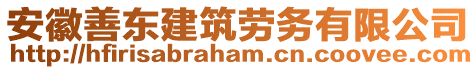 安徽善東建筑勞務(wù)有限公司