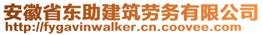 安徽省東助建筑勞務有限公司