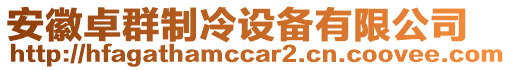 安徽卓群制冷設備有限公司