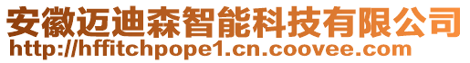 安徽邁迪森智能科技有限公司