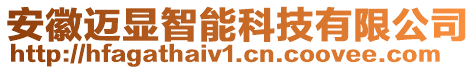 安徽邁顯智能科技有限公司