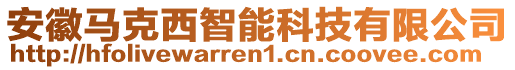 安徽馬克西智能科技有限公司