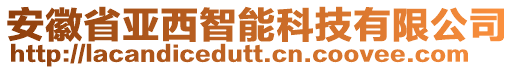 安徽省亞西智能科技有限公司