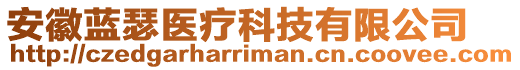 安徽藍(lán)瑟醫(yī)療科技有限公司